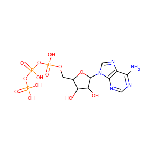 Adenosine triphosphate